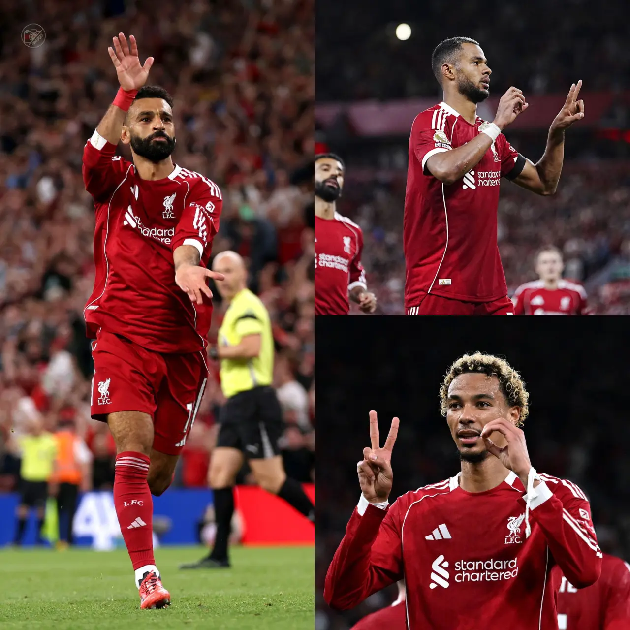 我的心里只, 迎来在利物