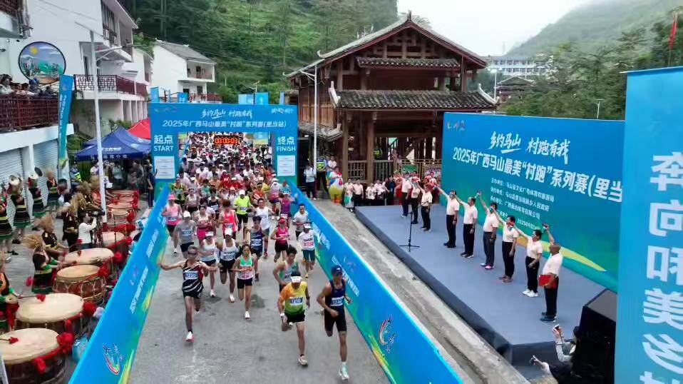 引入龙头企, msn